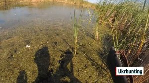 Отличная засидка (скрадок) для охоты на утку в болоте.