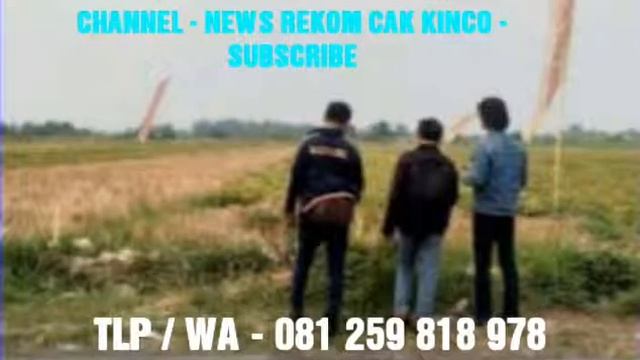 Habis semua terjual TDK ada yg tersisa смотреть онлайн