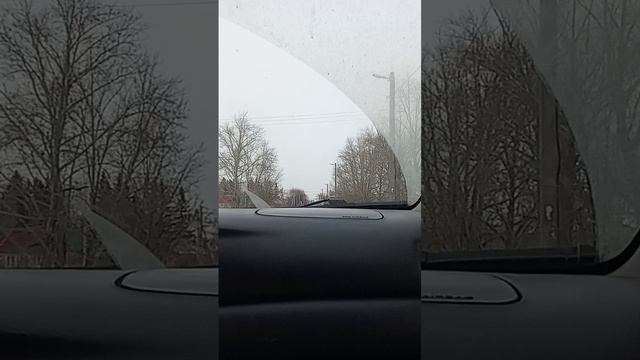 черёмухова