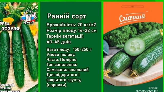 Сорти Тепличних Огірків смотреть онлайн