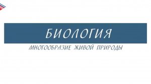 6 класс - Биология - Многообразие живой природы