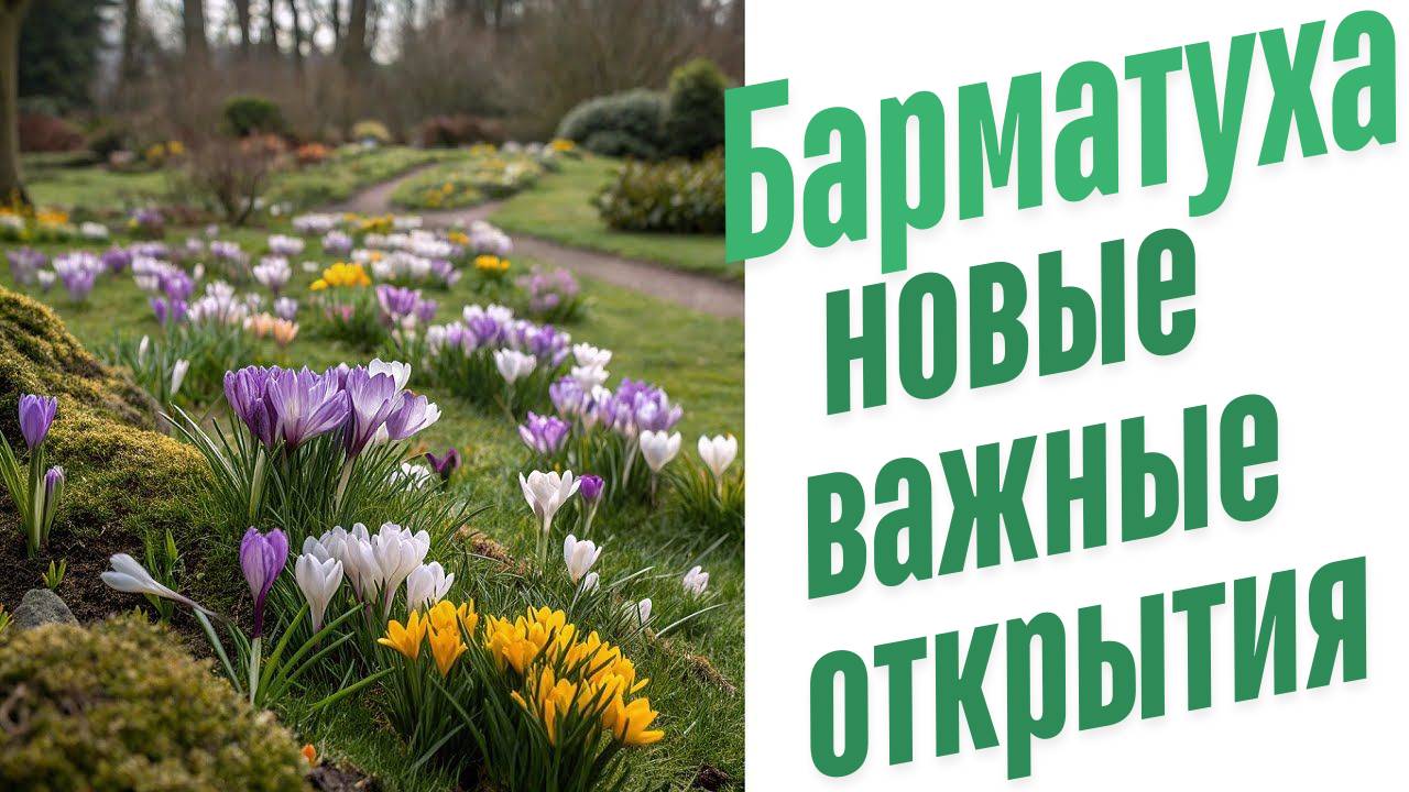 Питание в жизни растений.