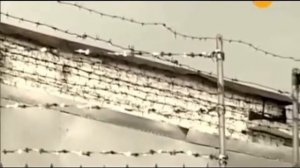 сергей наговицын на елках