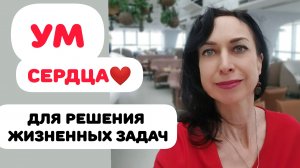 УМ СЕРДЦА. ПОЛУЧИ ПОДСКАЗКИ. ПРАКТИКА.