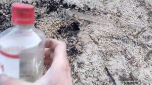 Лучшее средство от кротов.