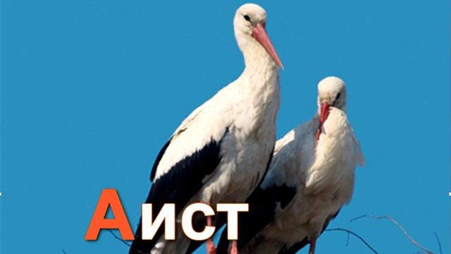 Азбука для детей. Учим буквы. Буква А