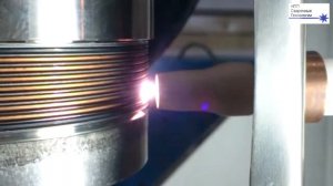 Сильфоны сварные / Welding bellows