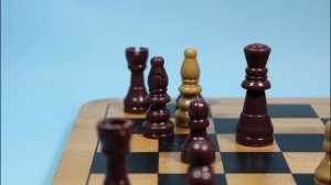 Chess (Stop Motion)