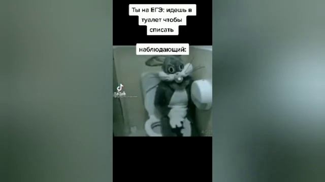 Заяц на унитазе приглашает присесть мем из тик тока смотреть онлайн