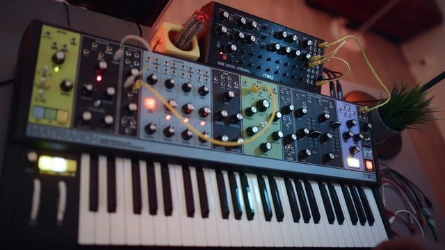 Short JAM 011 - DFAM & Matriarch (Quick Improvisation) смотреть онлайн