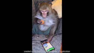 позвони мне позвони