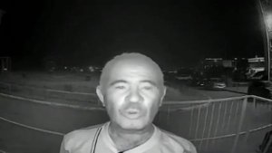 Разговор с домофоном