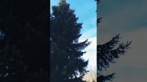 свобода от токсичных связей