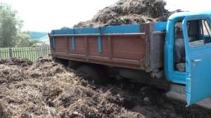 Газ 53 дизель. Застрял в навозе. Жара+38". Т 40АМ с самодельным куном!