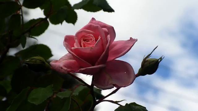 Топ самых хорошихпесен о любви - онлайн слушать смотреть онлайн