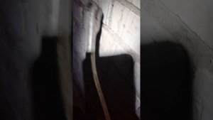 установка короткоходной кулисы бмв