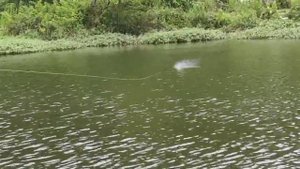 Приманка с пропеллером