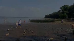 Санкт-Петербург. Лето. Август. 2014 год.