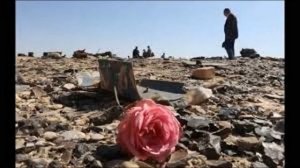 Дарина - главный пассажир...