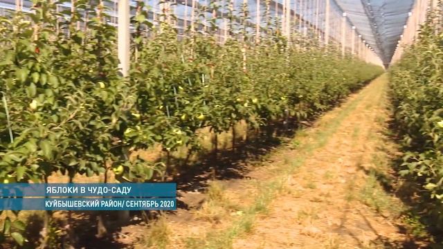 КАК ЭТО БЫЛО смотреть онлайн