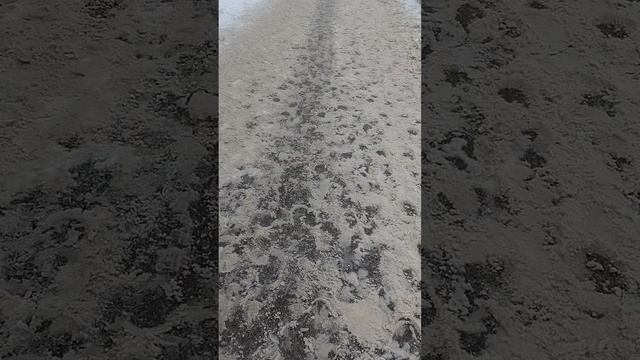 28 февраля 2025 г., 15:21:15
ул. Полины Осипенко
VID_20250228_151703324