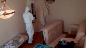 Как проходит дезинсекция