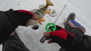 БЕЗМОТЫЛКА РУЛИТ! НОВЫЙ КОМПЛЕКТ для ловли на МОРМЫШКУ обрыблен по ПОЛНОЙ! Вот так РАСКАЧАЛ ЛУНОЧКУ!