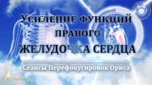 Усиление функций ПРАВОГО ЖЕЛУДОЧКА СЕРДЦА (Сеанс 21). Орис Орис
