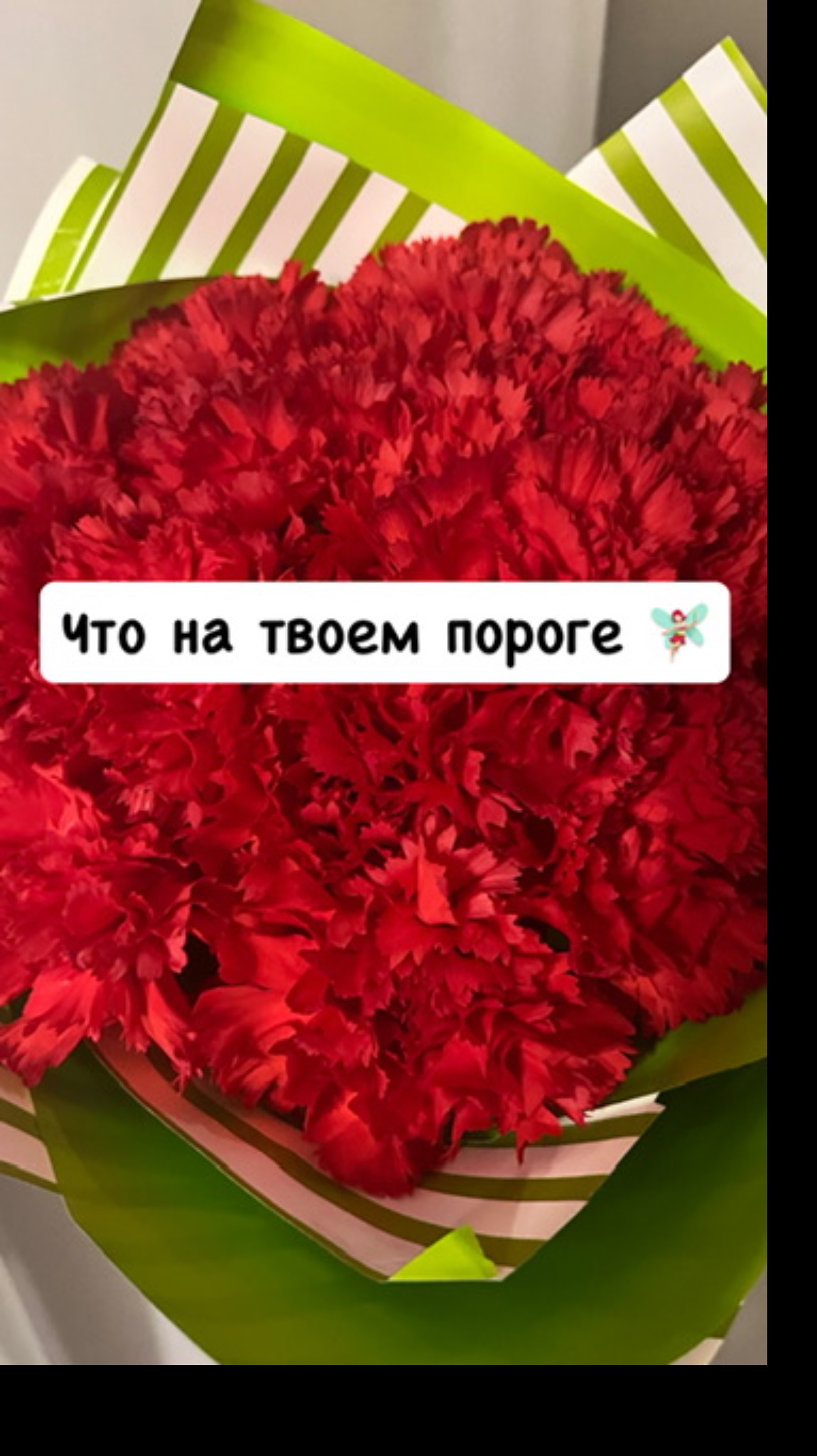 ЧТО НА ТВОЕМ ПОРОГЕ 🧚🏻♀️