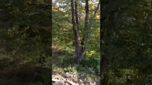 приемка  бетона