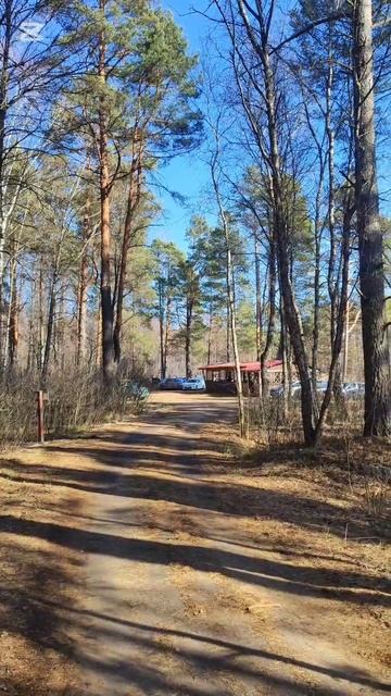 Встречаем весну в Национальном парке "Орловское Полесье" / озеро "Рясник" #весна2025 #природа #отдых
