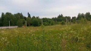 маленькое Приключение кошки буси.