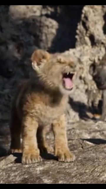 #король_лев#симба#муфаса#нала#гиена#гиены#мультфильм смотреть онлайн