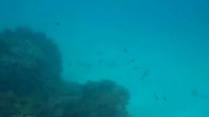 Diving Spain