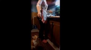 Кот мурчит как сумасшедший