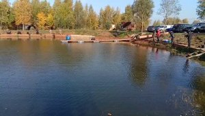 Поимки после запуска. РЫБАЛКА В ДУРЫКИНО