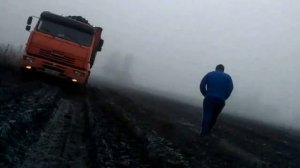 вывоз сахарной свеклы. export of sugar beet.