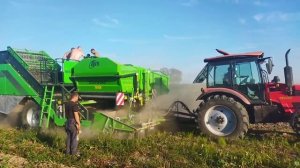 Картофелеуборочный комбайн Колнаг 5200 в работе на Дальнем Востоке России