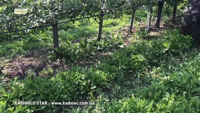 Культиватор STAR в саду смотреть онлайн