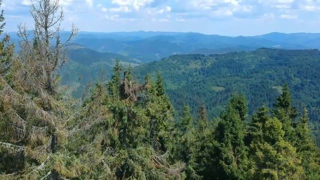 Карпати влітку. Славське смотреть онлайн