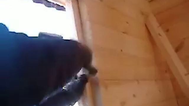 Шиповка проёма - вставляем ройку СК-ДОМА-БАНИ