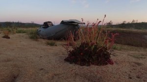 26 наш июль 2024