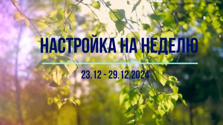 настройка-медитация на неделю 23.12 - 29.12.2024 #психология #осознанность