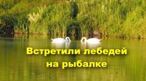 Рыбалка - это единение с природой! #рыбалка #fishing #природа