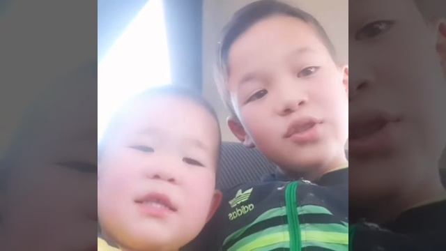 Синий трактор братия смотреть онлайн