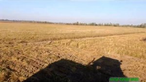 Дисковая борона УДА 3.8, Т-150К ЯМЗ 236