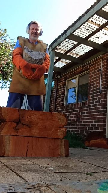 A New Player Has Entered The Game: Log Steps w/ 38KG Concrete Block смотреть онлайн