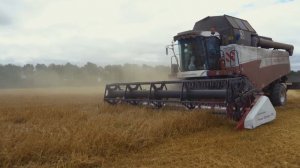 Уборочная 2022