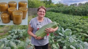 Кабачковая икра из одного кабачка.