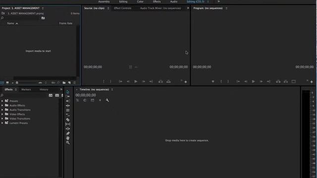 Adobe Premiere Pro CC - Chapter 1.1 Asset Management смотреть онлайн